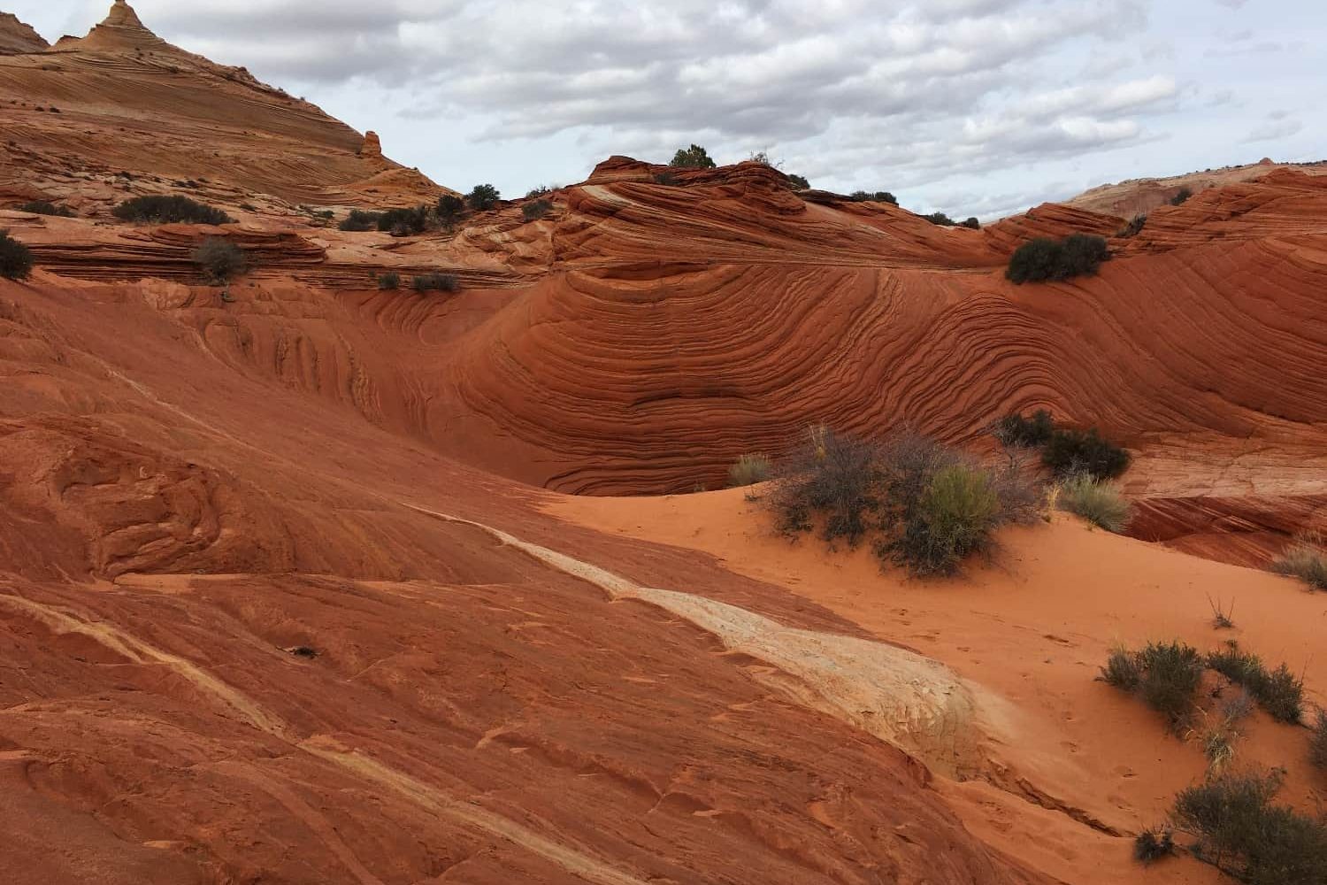 Escalante and Zion National Parks. Треккинг в не-туристических частях парков