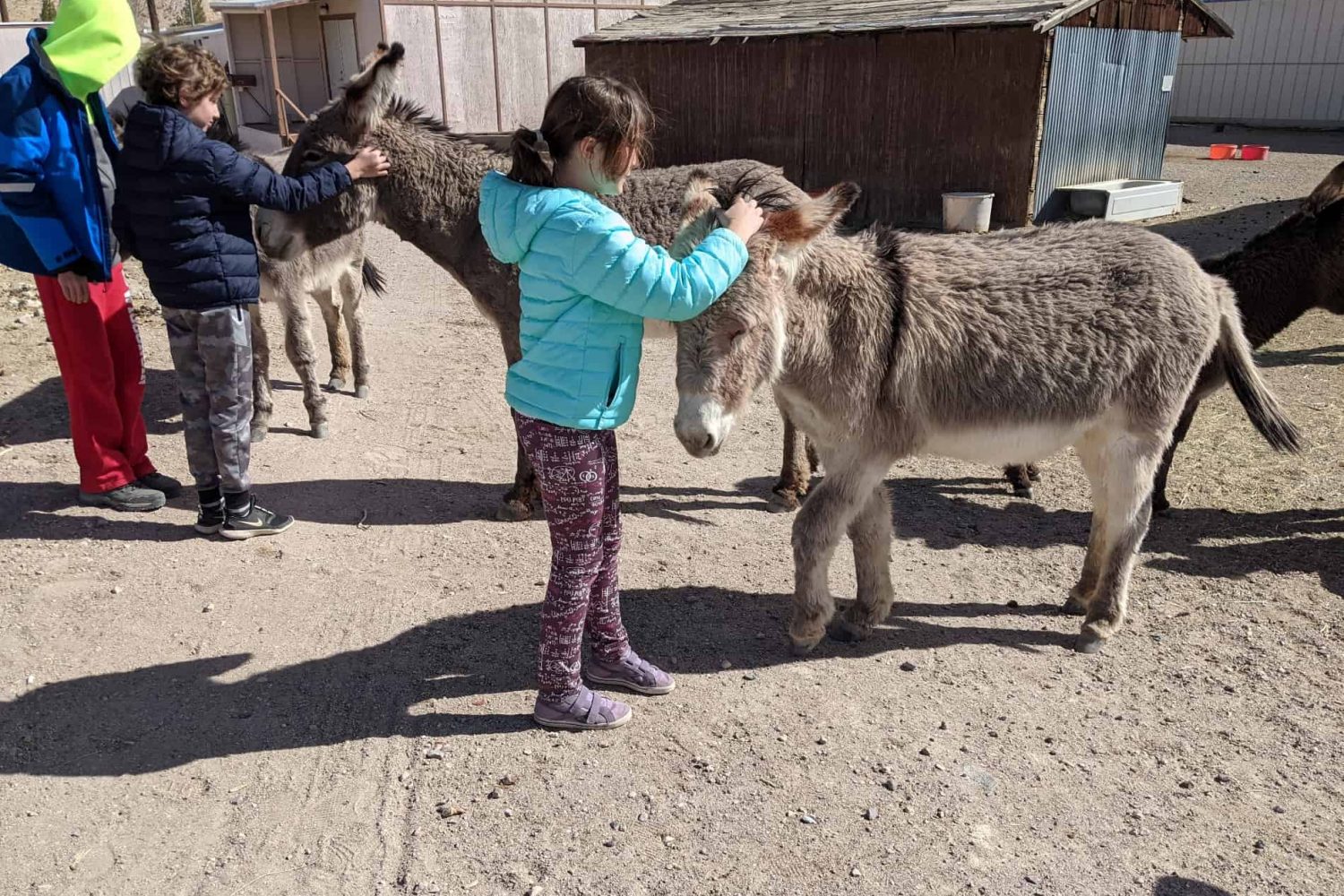 Тур в Долину Смерти для родителей с детьми